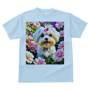 }`[Y TVc fB[X t@  t  vg JWA 킢 lԗp h ̃fUC ʔ  }`[Y  t |bv