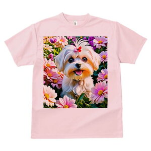 }`[Y TVc fB[X t@  t  vg JWA 킢 lԗp h ̃fUC ʔ  }`[Y  t |bv