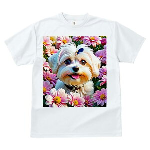 }`[Y TVc fB[X t@  t  vg JWA 킢 lԗp h ̃fUC ʔ  }`[Y