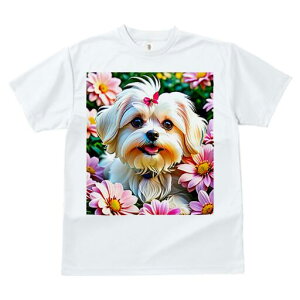 }`[Y TVc fB[X t@  t  vg JWA 킢 lԗp h ̃fUC ʔ  }`[Y sN