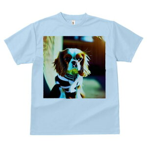 LoA TVc fB[X t@  t  vg JWA 킢 lԗp h ̃fUC ʔ  LoA