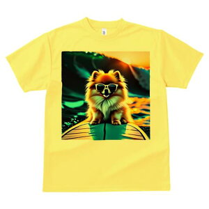 |jA TVc Y LbY t@  t  vg JWA 킢 lԗp h ̃fUC ʔ T[tB |jA C g TOX