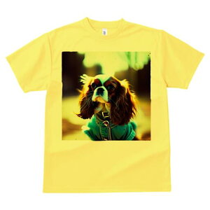 LoA TVc fB[X t@  t  vg JWA 킢 lԗp h ̃fUC ʔ  LoA WPbg