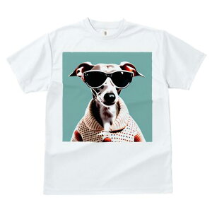 OCnEh TVc fB[X t@  t  vg JWA 킢 lԗp h ̃fUC ʔ TOX OCnEh Z[^[