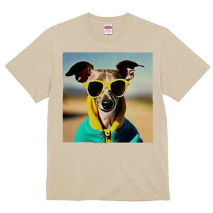 C^AO[nEh TVc fB[X t@  t  vg JWA 킢 lԗp h ̃fUC ʔ TOX C^AO[nEh p[