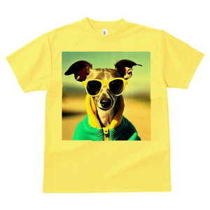 C^AO[nEh TVc fB[X t@  t  vg JWA 킢 lԗp h ̃fUC ʔ TOX C^AO[nEh p[