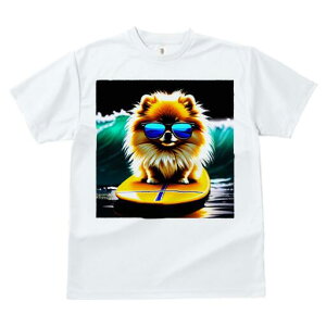 |jA TVc fB[X t@  t  vg JWA 킢 lԗp h ̃fUC ʔ TOX |jA T[t{[h g C