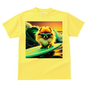 |jA TVc fB[X t@  t  vg JWA 킢 lԗp h ̃fUC ʔ g |jA C T[tB TOX