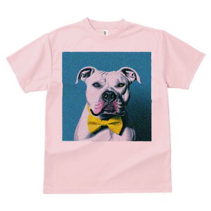 AJuhbO TVc fB[X t@  t  vg JWA 킢 lԗp h ̃fUC ʔ lN^C AJuhbO