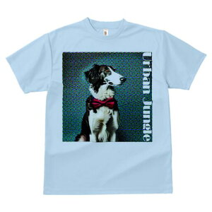 {]C TVc fB[X t@  t  vg JWA 킢 lԗp h ̃fUC ʔ lN^C {]C