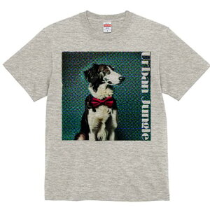 {]C TVc fB[X t@  t  vg JWA 킢 lԗp h ̃fUC ʔ lN^C {]C