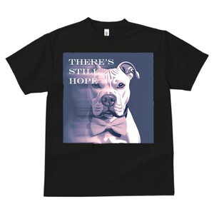 AJsbgueA TVc fB[X t@  t  vg JWA 킢 lԗp h ̃fUC ʔ lN^C AJsbgueA