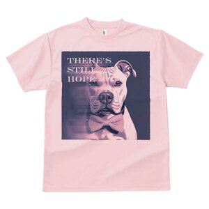 AJsbgueA TVc fB[X t@  t  vg JWA 킢 lԗp h ̃fUC ʔ lN^C AJsbgueA