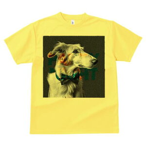 �{���]�C T�V���c ���f�B�[�X ���t�@�� ���� �t�� ���� �v�����g �J�W���A�� ���킢�� �l�ԗp ���h ���������̃f�U�C�� �ʔ� ���l�N�^�C �{���]�C