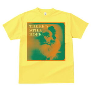 yLj[Y TVc fB[X t@  t  vg JWA 킢 lԗp h ̃fUC ʔ yLj[Y