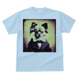 ` TVc fB[X t@  t  vg JWA 킢 lԗp h ̃fUC ʔ lN^C ` X[c