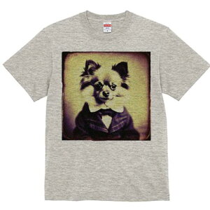 ` TVc fB[X t@  t  vg JWA 킢 lԗp h ̃fUC ʔ lN^C ` X[c