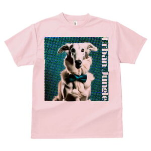 {]C TVc fB[X t@  t  vg JWA 킢 lԗp h ̃fUC ʔ lN^C {]C