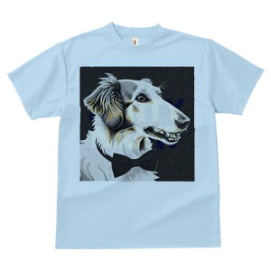 {]C TVc fB[X t@  t  vg JWA 킢 lԗp h ̃fUC ʔ lN^C {]C