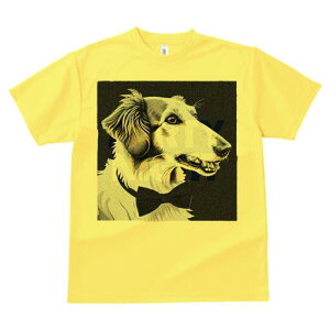 {]C TVc fB[X t@  t  vg JWA 킢 lԗp h ̃fUC ʔ lN^C {]C