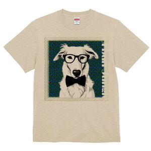 {]C TVc Y LbY t@  t  vg JWA 킢 lԗp h ̃fUC ʔ Kl {]C lN^C hbg