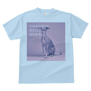 C^AO[nEh TVc Y LbY t@  t  vg JWA 킢 lԗp h ̃fUC ʔ Kl C^AO[nEh