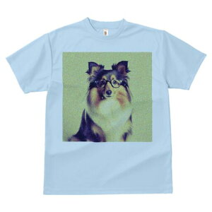 VFbghV[vhbO TVc fB[X t@  t  vg JWA 킢 lԗp h ̃fUC ʔ Kl VFbghV[vhbO