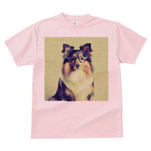 VFbghV[vhbO TVc fB[X t@  t  vg JWA 킢 lԗp h ̃fUC ʔ Kl VFbghV[vhbO