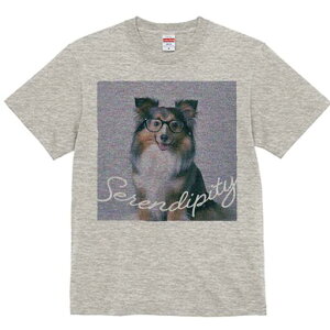 VFbghV[vhbO TVc fB[X t@  t  vg JWA 킢 lԗp h ̃fUC ʔ Kl VFbghV[vhbO