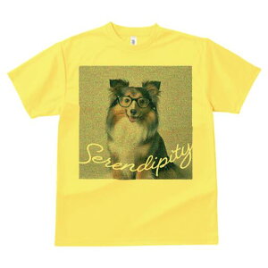 VFbghV[vhbO TVc fB[X t@  t  vg JWA 킢 lԗp h ̃fUC ʔ Kl VFbghV[vhbO