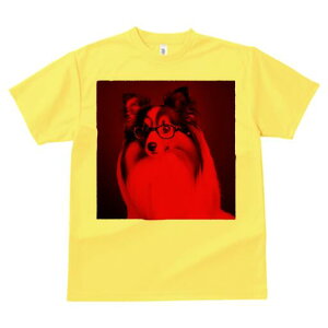 VFeB[ TVc Y LbY t@  t  vg JWA 킢 lԗp h ̃fUC ʔ Kl VFeB[