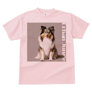 VFbghV[vhbO TVc Y LbY t@  t  vg JWA 킢 lԗp h ̃fUC ʔ Kl VFbghV[vhbO