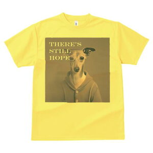 C^AO[nEh TVc Y LbY t@  t  vg JWA 킢 lԗp h ̃fUC ʔ Kl C^AO[nEh 