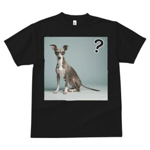 C^AO[nEh TVc fB[X t@  t  vg JWA 킢 lԗp h ̃fUC ʔ Kl C^AO[nEh ^╄