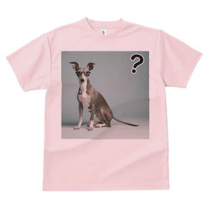 C^AO[nEh TVc fB[X t@  t  vg JWA 킢 lԗp h ̃fUC ʔ Kl C^AO[nEh ^╄