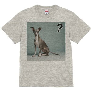 C^AO[nEh TVc Y LbY t@  t  vg JWA 킢 lԗp h ̃fUC ʔ Kl C^AO[nEh ^╄