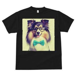 VFbghV[vhbO TVc Y LbY t@  t  vg JWA 킢 lԗp h ̃fUC ʔ Kl VFbghV[vhbO 