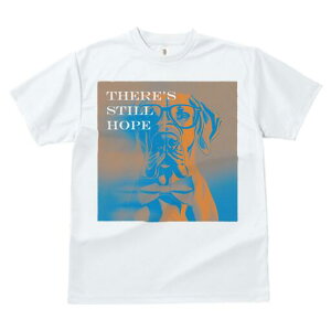 O[gf[ TVc fB[X t@  t  vg JWA 킢 lԗp h ̃fUC ʔ Kl O[gf[ lN^C