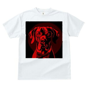 O[gf[ TVc Y LbY t@  t  vg JWA 킢 lԗp h ̃fUC ʔ Kl O[gf[ lN^C