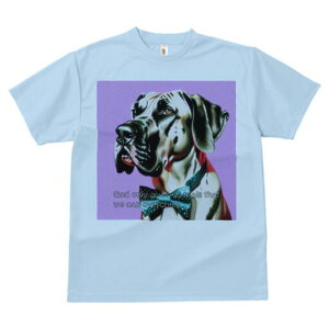 O[gf[ TVc fB[X t@  t  vg JWA 킢 lԗp h ̃fUC ʔ lN^C O[gf[