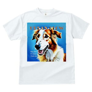 �{���]�C T�V���c ���f�B�[�X ���t�@�� ���� �t�� ���� �v�����g �J�W���A�� ���킢�� �l�ԗp ���h ���������̃f�U�C�� �ʔ� T�V���c �{���]�C �t�@�b�V���� �J�W���A��