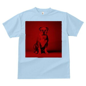 AJsbgueA TVc Y LbY t@  t  vg JWA 킢 lԗp h ̃fUC ʔ Kl AJsbgueA