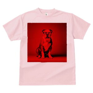 AJsbgueA TVc Y LbY t@  t  vg JWA 킢 lԗp h ̃fUC ʔ Kl AJsbgueA