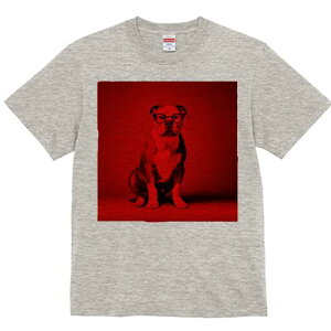 AJsbgueA TVc Y LbY t@  t  vg JWA 킢 lԗp h ̃fUC ʔ Kl AJsbgueA