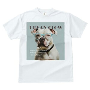 AJuhbO TVc Y LbY t@  t  vg JWA 킢 lԗp h ̃fUC ʔ Kl AJuhbO 