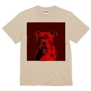 AJsbgueA TVc fB[X t@  t  vg JWA 킢 lԗp h ̃fUC ʔ Kl AJsbgueA