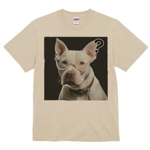 AJsbgueA TVc fB[X t@  t  vg JWA 킢 lԗp h ̃fUC ʔ Kl AJsbgueA