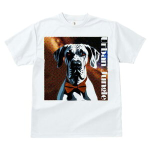 O[gf[ TVc fB[X t@  t  vg JWA 킢 lԗp h ̃fUC ʔ lN^C O[gf[