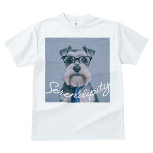 ~j`AViEU[ TVc fB[X t@  t  vg JWA 킢 lԗp h ̃fUC ʔ Kl ~j`AViEU[ lN^C