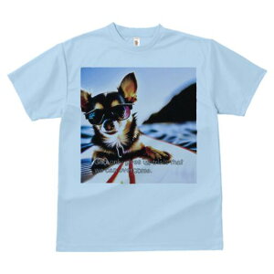 ` TVc fB[X t@  t  vg JWA 킢 lԗp h ̃fUC ʔ TOX ` C T[t{[h